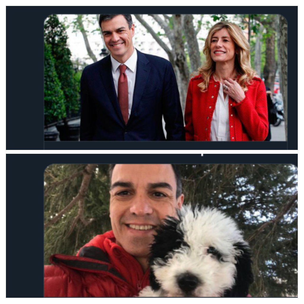 mariomgc's tweet photo. @MediterraneoDGT Cuantas perras tiene? @sanchezcastejon https://t.co/npxk2qhJrU