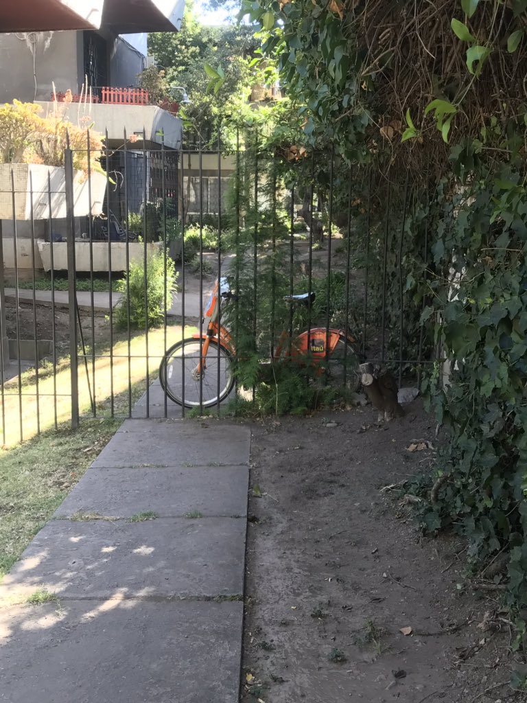 Respetemos el bien público y seamos conscientes de que este tipo de elementos, son para el uso de todos👫! Lamentable esta imagen que nos llegó por interno de Manuel Montt con Alcalde Almanzor con bicicleta <a href="/itauchile/">Itaú Chile</a> en el patio😔😔 <a href="/Muni_provi/">Muniprovi</a> <a href="/DeProvidencia/">Providencia - Chile</a>