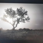 Photo by Red Dead Redemption 2 (@RedDead_ES)