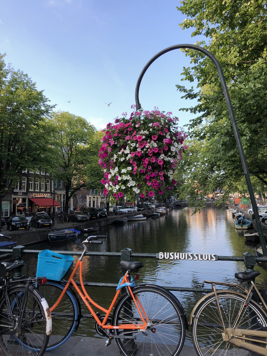 sknoerfi's tweet photo. Amsterdam 2k18 #mannluca https://t.co/d98w6rNz8j