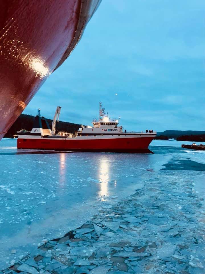 Andrew Titus tweet media