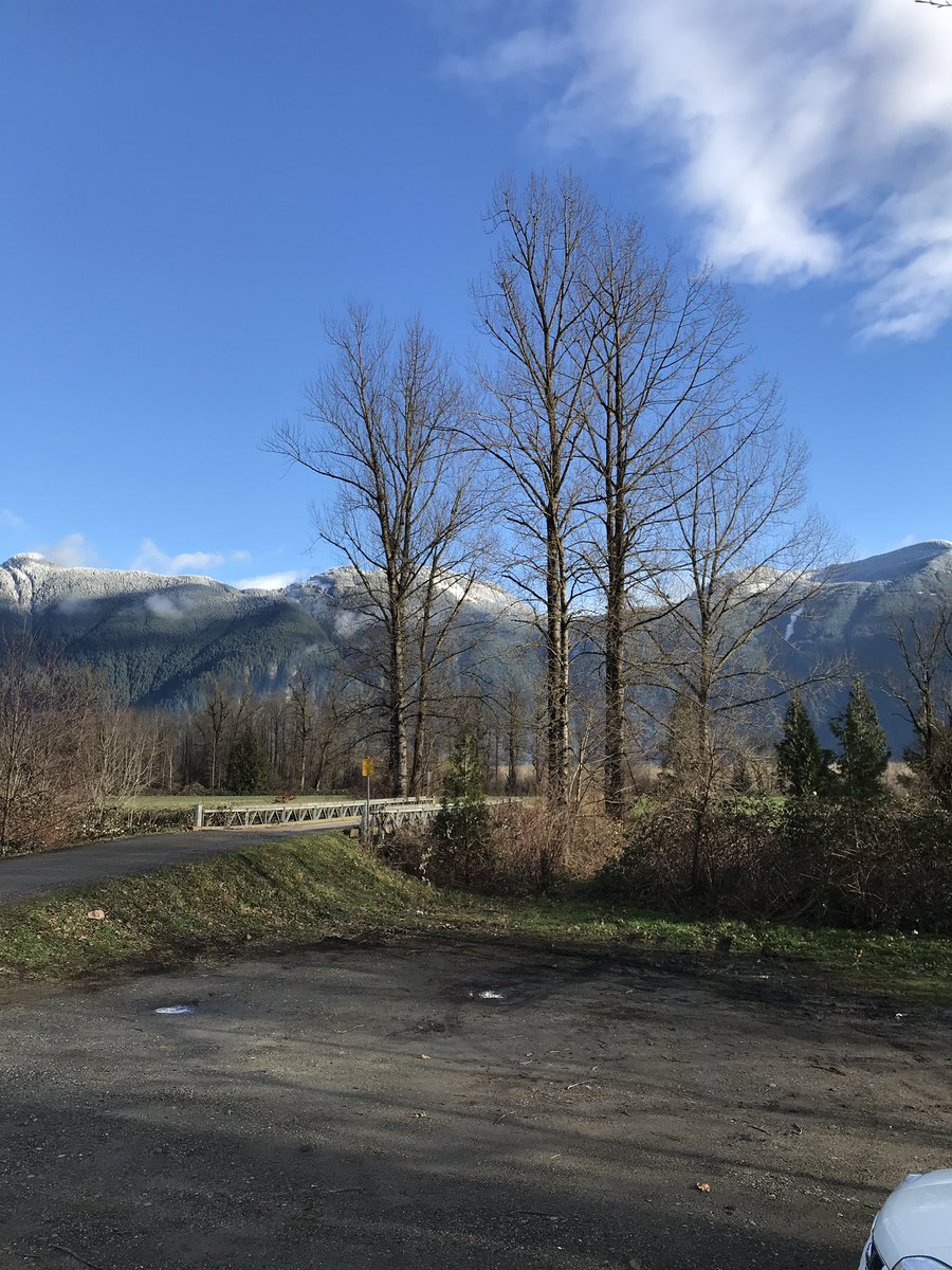 YVRbus's tweet photo. Can’t get any better than this on the last Sunday of 2018. #MtCheam #FraserValley https://t.co/8QY5qI62DL