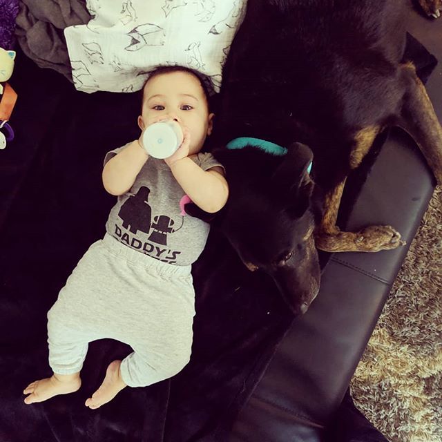 dLeeFlood's tweet photo. Best Friends ❤️ #gshep #daddysprincess #relaxin #lazysunday #bestfriend #love #babygirl https://t.co/vMFJqSleVl https://t.co/O2VwVWv4Jo