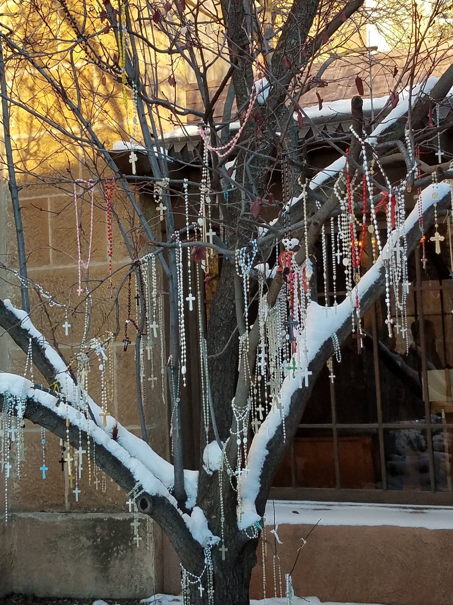 Busy_Being_'s tweet photo. This one is for @Cat_Marnell : a rosary tree in Santa Fe, New Mexico βπβπ§πΏββοΈπ #htmyl #swag #catmarnell https://t.co/DCi1s4zmkp