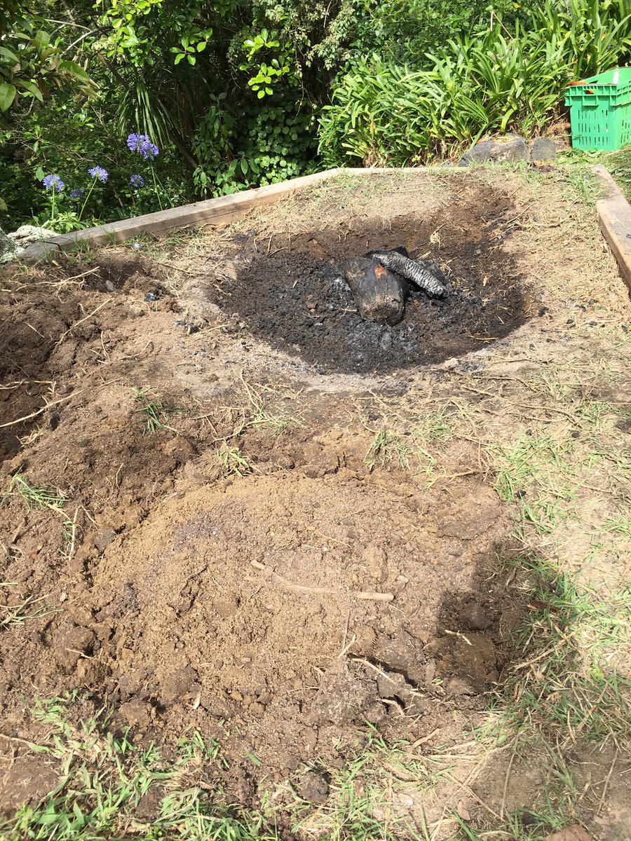 PhilTataurangi's tweet photo. Kai now in the earth oven for the next few hrs....#moetime.. https://t.co/0QEGziC9rn