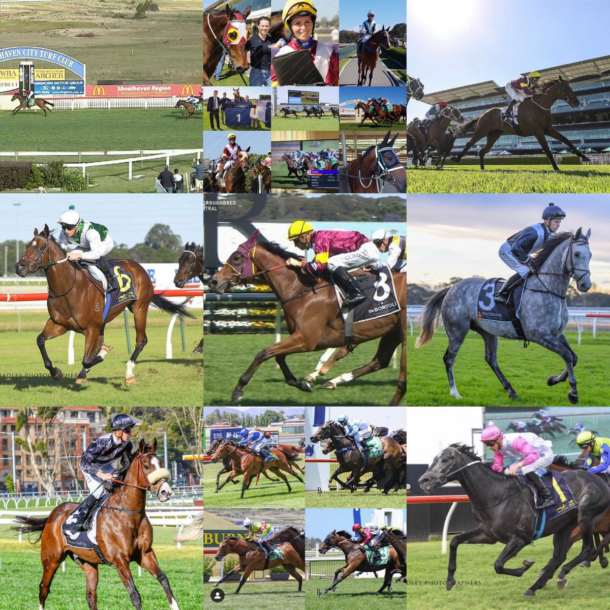 mcsmithracing's tweet photo. numerous country winners - each and every victory is special, and we canβt wait to share many more with you throughout, and beyond, 2019!
πππͺπΌπ₯ππΌπ #winnersaregrinners #settolaunch #getinvolved #contactforownershipopportunities https://t.co/8557cNHzOf