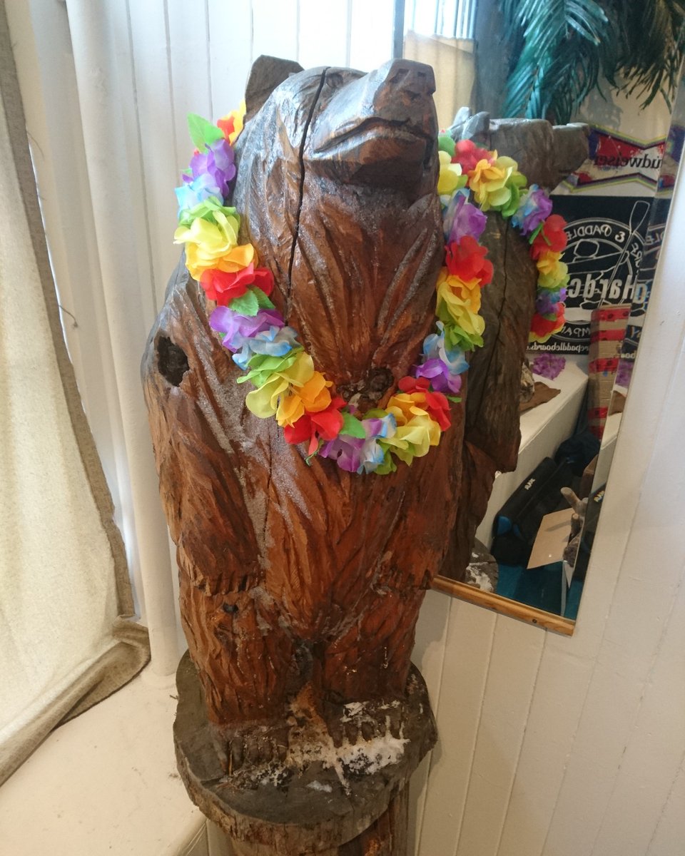 Our new Aloha Bear.