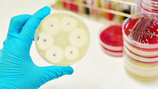 EditorJmbt's tweet photo. #Bacteria found in ancient #Irish soil halts growth of #superbugs: New hope for tackling #antibiotic resistance
Submit manuscript at https://t.co/ETh52Jh0m8  or send as an e-mail attachment to the Editorial Office at mbtechnol@scientificinsights.org https://t.co/BIuGKl0uS1