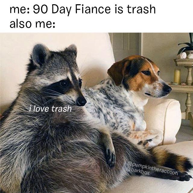 RayChinikaylo's tweet image. I’ve never seen a more accurate meme 😂 #90DayFiance