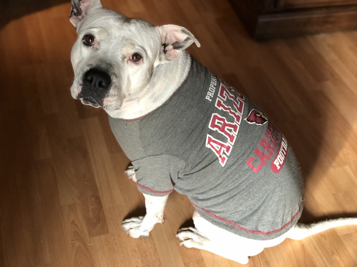 ProfNichols's tweet image. Chula is #stillafan @AZCardinals @ChrisRMelvin
