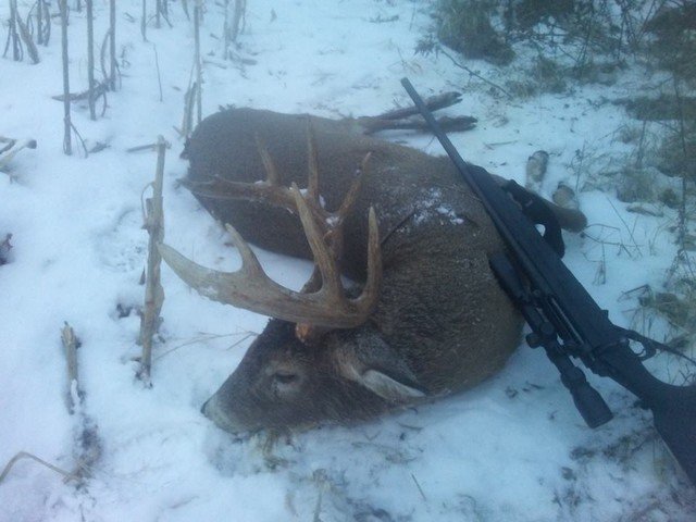 BucksofWI's tweet photo. Lind Bran - November 17 - 2018
Decent heavy 10 pointer came in today at 330

#BucksofWisconsin #BucksOfAmerica
https://t.co/HSfZWTujHR https://t.co/EdqmQ1sXiZ