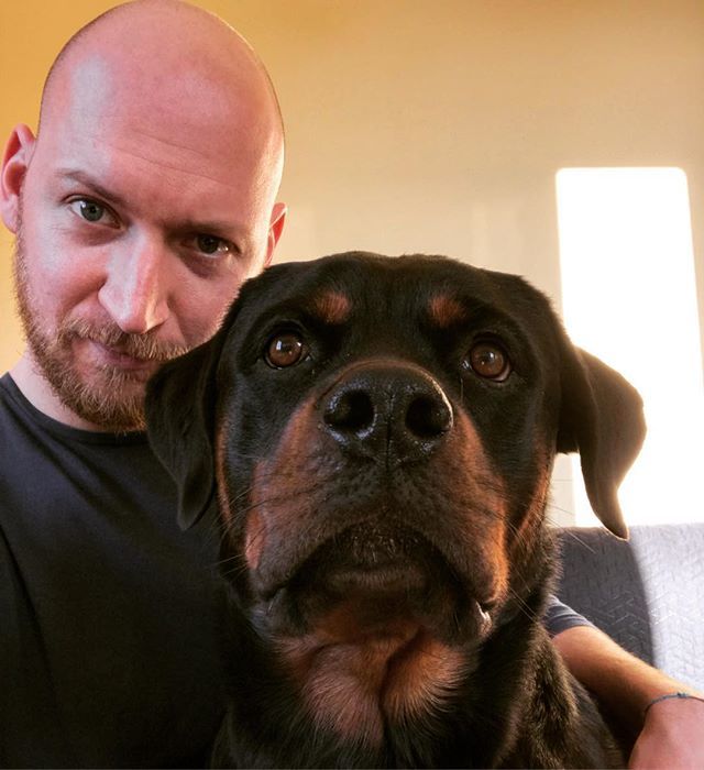 SimoneViarengo's tweet photo. 🐾 Sicuramente quello più bello sei tu 🐕. #rottweiler #selfie #me #kaos #puppy #puppydog #dog #istadog #dogsofinstagram #rottweillersofinstagram #rott #blueyes #happy #love @__ginger_dog #doglover https://t.co/5qTjZb5rll https://t.co/miCg7t244t