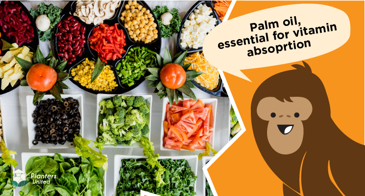 plantersunited's tweet photo. Palm oil can help your body absorb fat-soluble micro-nutrients like vitamins A, D, E and K. #BapakAkuPeneroka #PalmOil #Malaysia #PlantersUnited #PalmOilForHealth, #CheaperNotInferior #OrangUtan #KikiTheOrangUtan https://t.co/mUSA6shenn