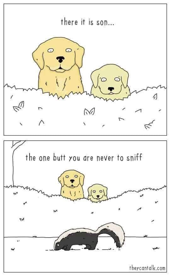 CosmoPupp's tweet photo. Life lessons by #theycantalk. #buttsniff #butts #maybeonce #kinkmotto https://t.co/7acnV6cgQn