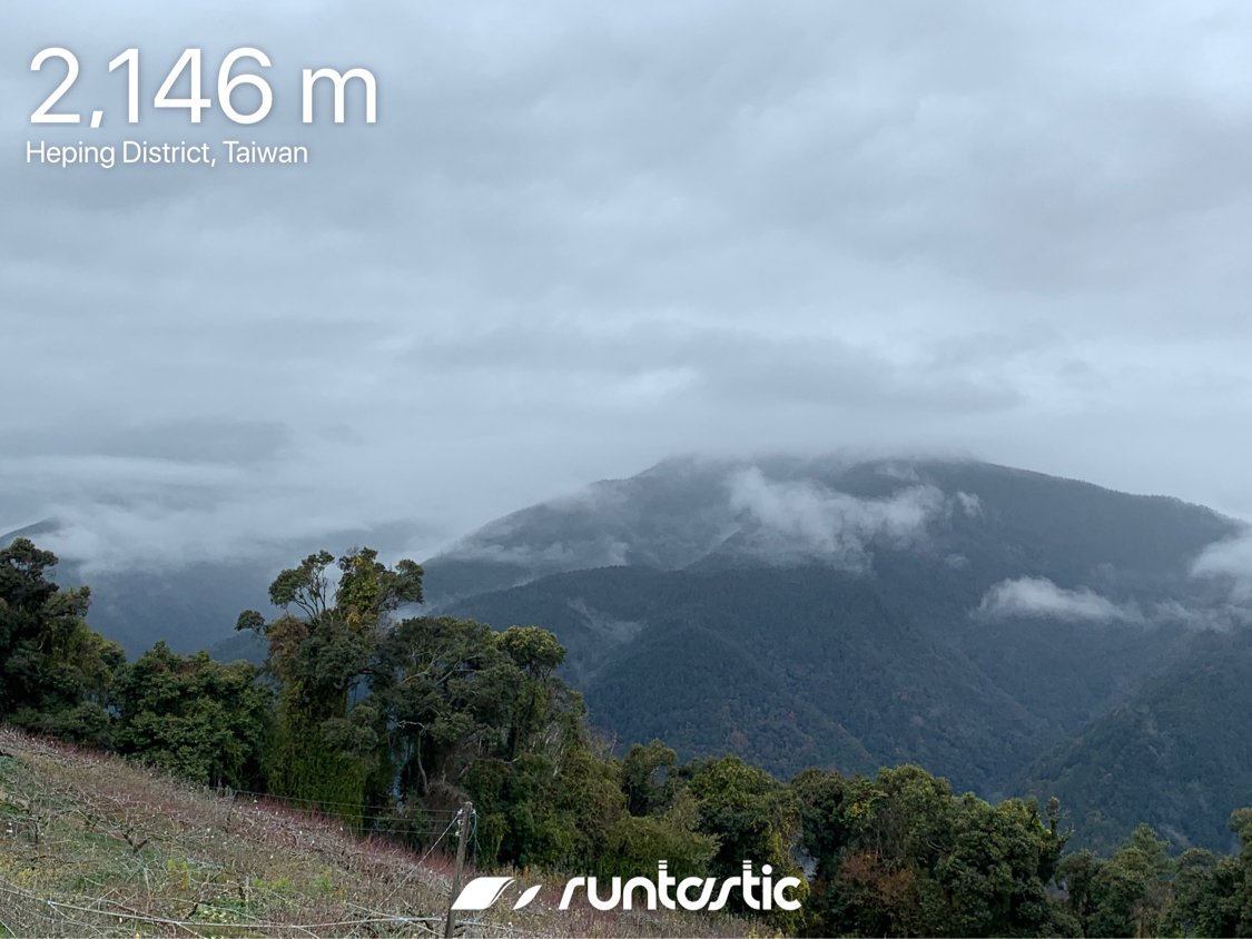 morgwei's tweet image. 