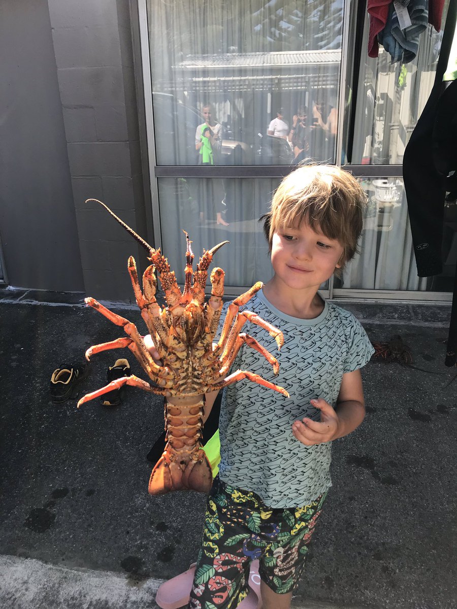 AndyAbraham_NZ's tweet photo. Bugslife @TMHorgan https://t.co/c8kOS7Pul0