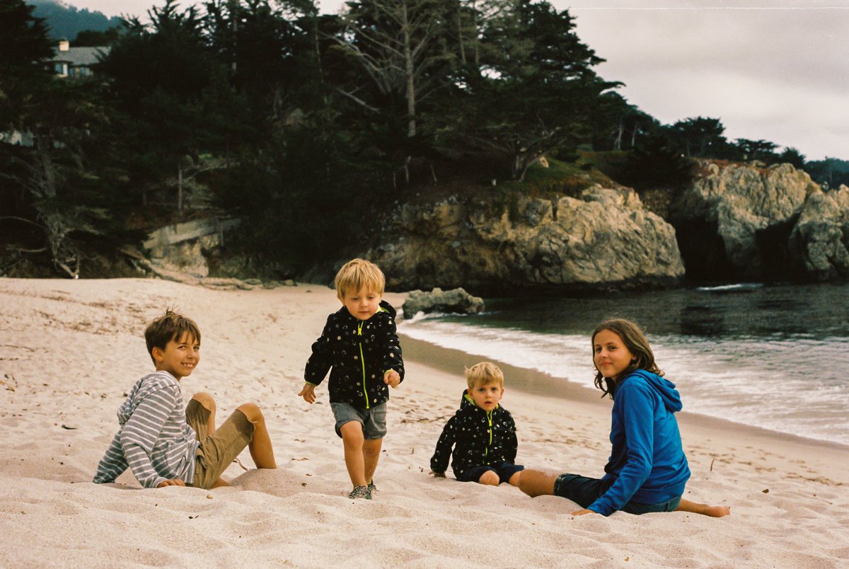 ImagesLucia's tweet photo. Point Lobos 
#pacificcoast #pointlobos #photography #pentaxk1000 #portra400 #35mmfilm https://t.co/b5R7UjwSZ0
