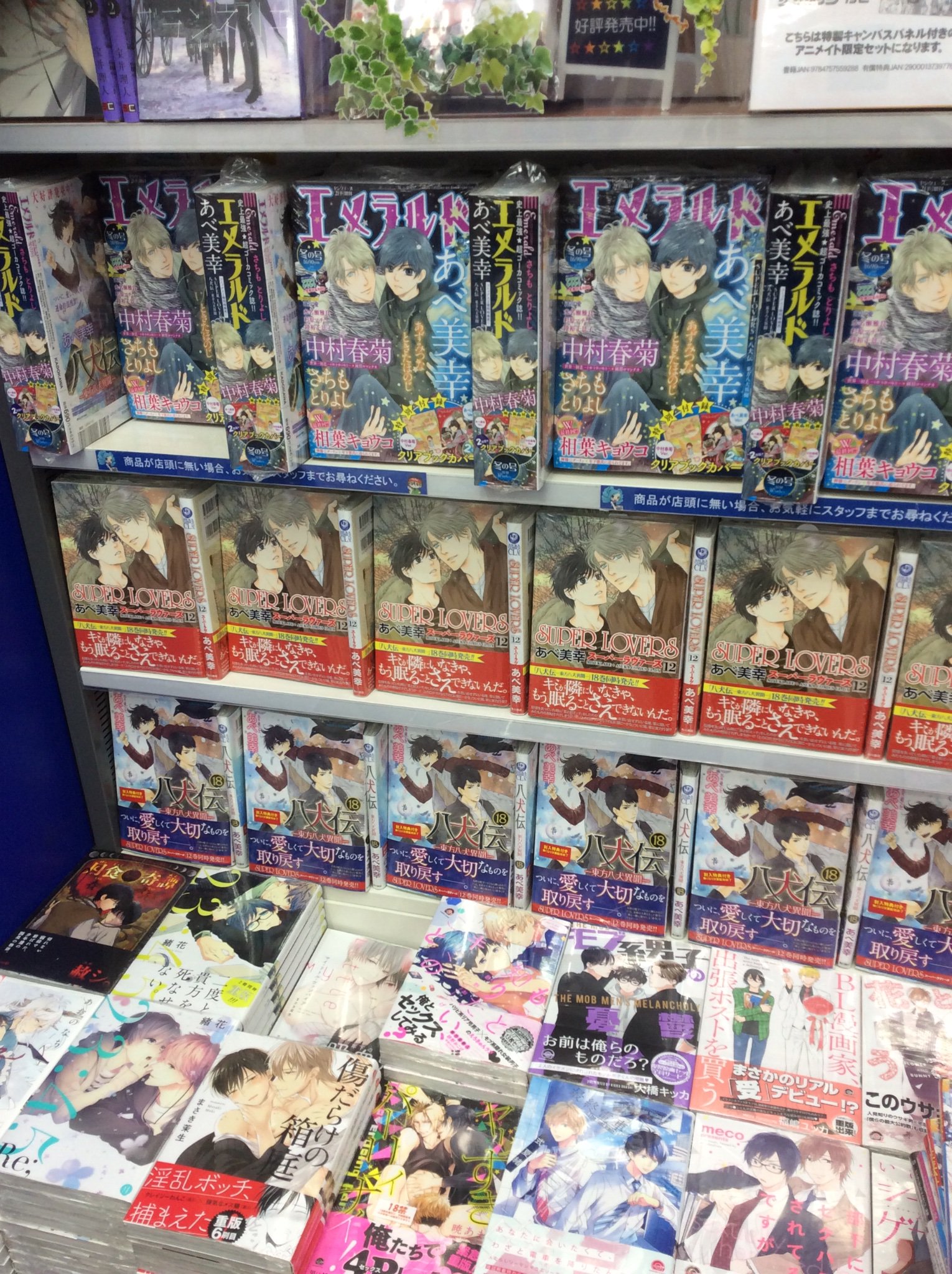 تويتر アニメイト秋葉原本館 على تويتر 新刊情報 八犬伝 東方八犬異聞 18 Super Lovers 12 同時発売 連動購入特典の描き下ろし4pリーフレットもついてきます あべ美幸 先生最新刊お見逃しなく T Co Vgxcwlo4cw
