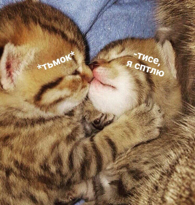 Кафе Тепло (@teplo_eda) on Twitter photo 