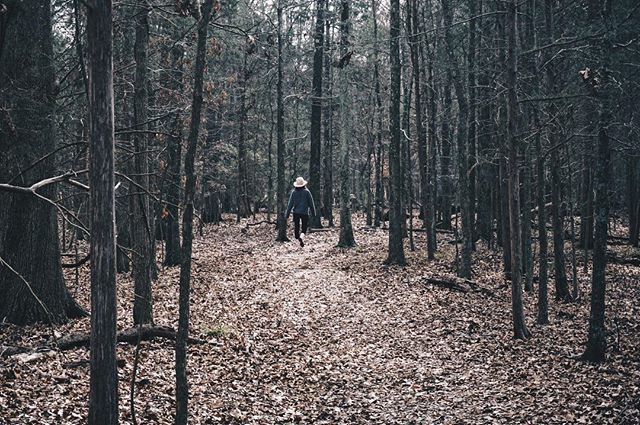 Level1Alt's tweet photo. Darkroot Garden Walk
.
.
.
.
.
#DarkrootGarden #Walk
.
.
.
.
.
.
#winter #green #warm #brown #sunny #day #inthesouth #charlottenc #clt #nature #bush #forest #sunlight #photowalk #shotonesony #shotwithsony #sonya6000 #sonyalpha #mirrorless #kitlens #wesho… https://t.co/jdQU4c2jyC https://t.co/gNVBTICGGw