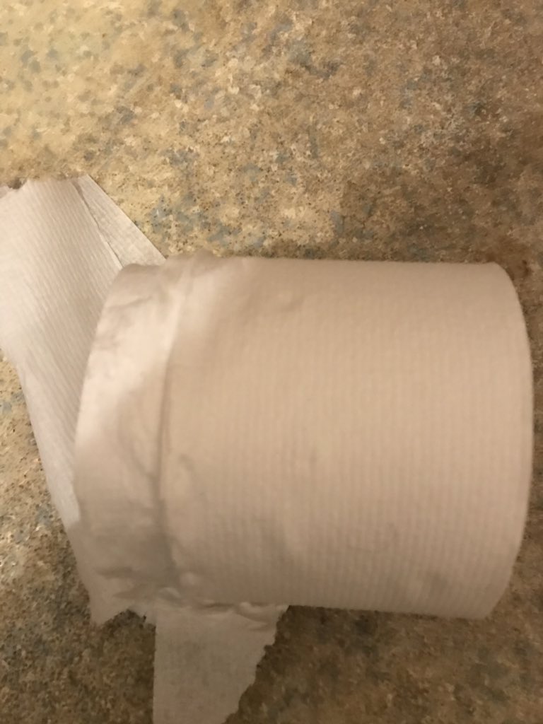 DBlandladyx's tweet image. I’ve got a stinking cold and horrible cough and this is what the toilet roll does to me #papereverywhere #inbits