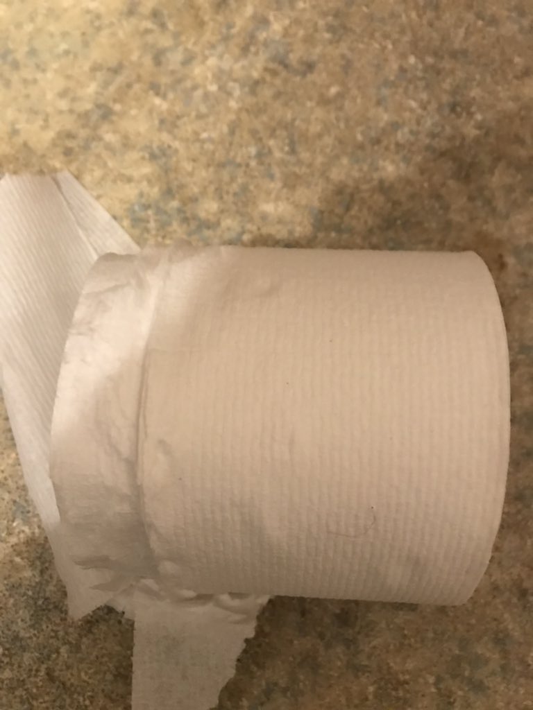 DBlandladyx's tweet image. I’ve got a stinking cold and horrible cough and this is what the toilet roll does to me #papereverywhere #inbits