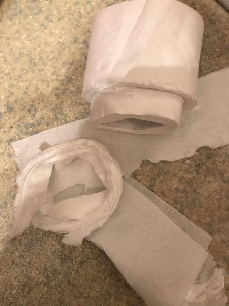 DBlandladyx's tweet image. I’ve got a stinking cold and horrible cough and this is what the toilet roll does to me #papereverywhere #inbits
