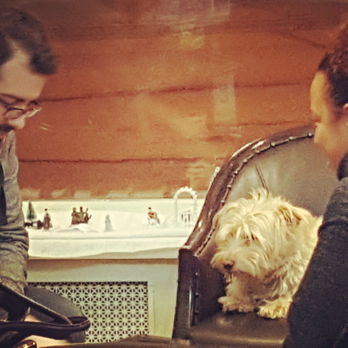 FunnyBonesTO's tweet photo. Cooper supervising #ghostblitz #play @FunnyBonesTO. We're open late New Years Eve! #addplaytoyourday #funwithfriends #NewYearsEve #games #playon #etobicoke #funnybonesto #newtoronto #lakeshore #lakeshorebia #torontogames #liveonlakeshore #lakeshoreliving https://t.co/bfDEeopqen