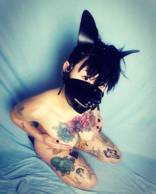 Woof, woof, please feed me https://t.co/SFiT88Qbdn