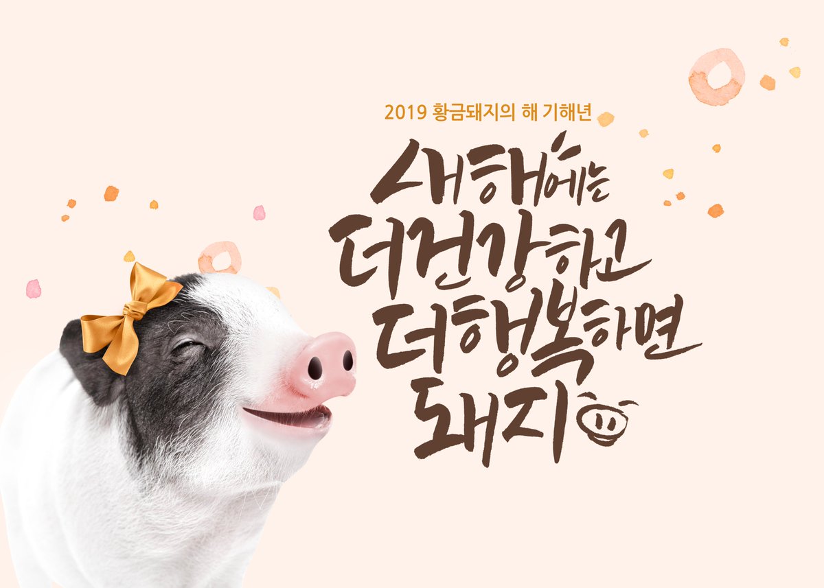 #새해#복
#모두모두_행복하세요!
#2019년_기대돼지