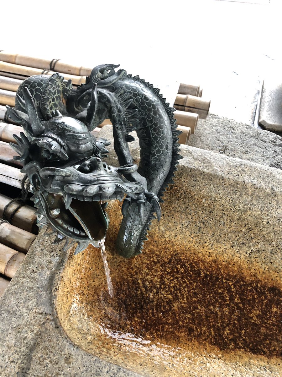 rambaula's tweet photo. En remerciement à @mystic_cat pour ses bons conseils du printemps sur #Stoyanova, un joli #Fafner japonais https://t.co/W5B2joqPlR