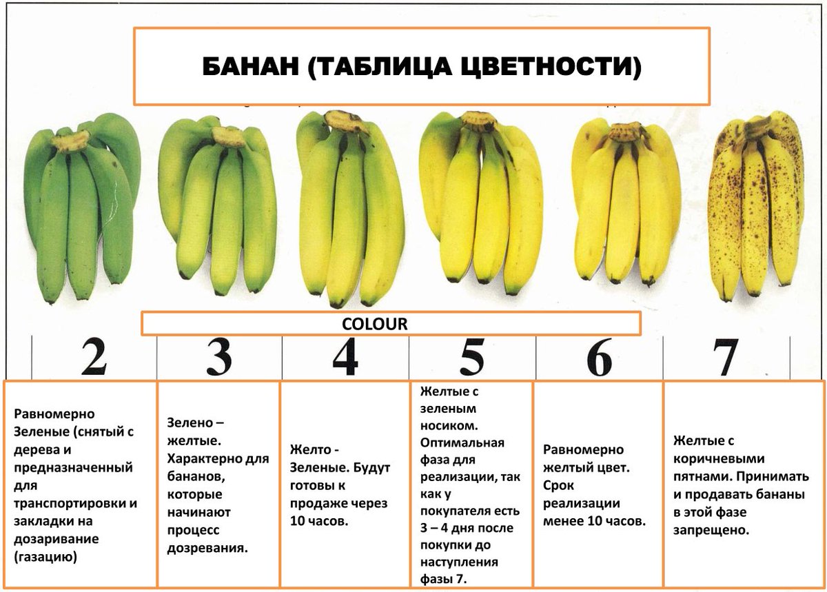 Хабр tweet media