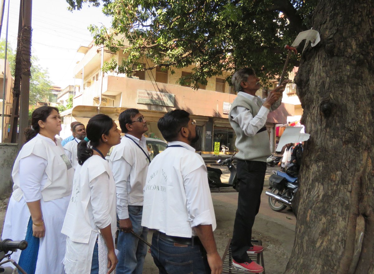 green_vigil's tweet photo. Another round of campaign to remove Advertisement from trees at Dharampeth Zone (Nagpur)...
#NMC #Nagpur #Nagpur @NagpurMuncipal  @moefcc @SwachSurvekshan @swachhbharat  @SwachhBharatGov  @swachhnagpur  @ProshuncTOI @mankabTOI  @ShramdaanBharat @PMOIndia  @ https://t.co/dAXJwWKD7t