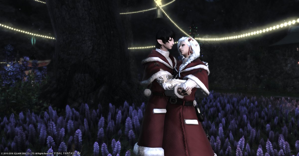 Merry Starlight! From Aymeric and Estinien de Borel.