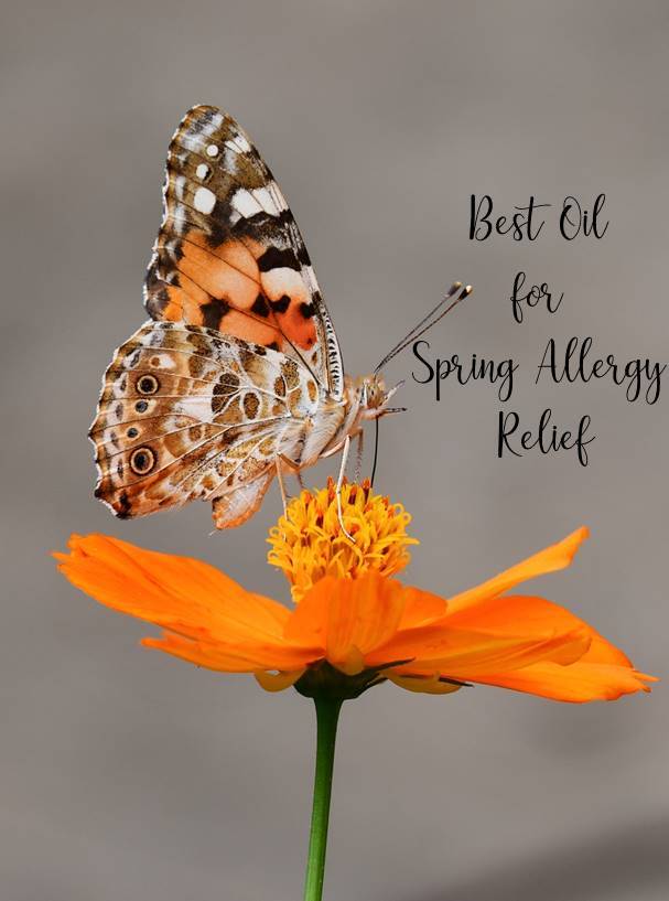 Best Oil for Spring - dld.bz/hkzmA #Allergy Relief - #nasya #nasyaoil #ayurveda #sinusitis