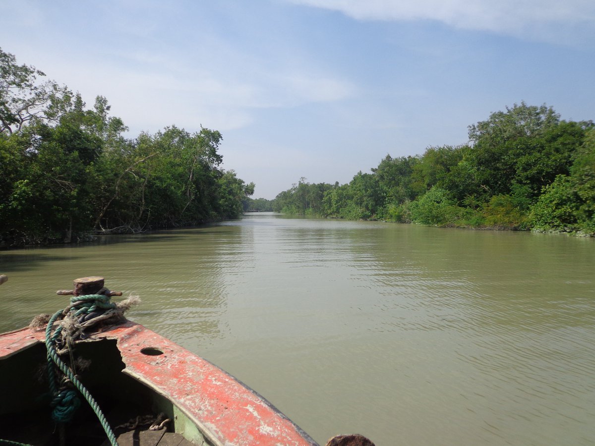 MZahirulislam1's tweet photo. Marine life #exploration in the #BayofBengal by #MarinelifeAlliance..part of #SeaTurtleProgram...integrated with #natgeo #exploreres project..Program continue from Sundarban to St. Martin Island..coast, open water and underwater with ROV..many things will be shared in near future https://t.co/nhwytriq4l
