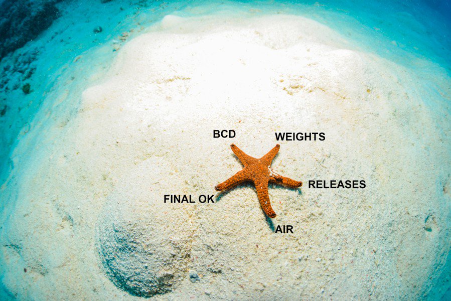 IranMarina's tweet photo. BWRAF - IT'S A SCUBA THING

🔰 مرکز غواصی مارینا  🔰
https://t.co/gxYwJZNHLT
https://t.co/4GTM9i7gHY
https://t.co/UMDUh3Kvv9 https://t.co/dp9wh9EqbB