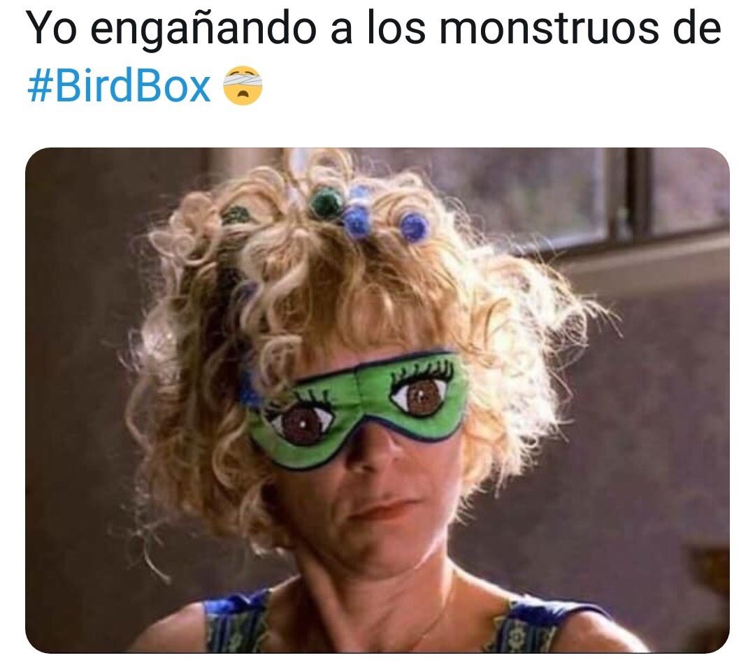 rebeca_davilam's tweet photo. No puedo con esto 😂 buenísima película #BirdBox https://t.co/BSc9Y0PIb7