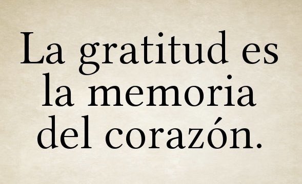 fiorella_s_r's tweet photo. A este #INOLVIDABLE2018 solo se le puede despedir con una palabra: GRACIAS! 🥂 https://t.co/7wYx7kL1i8