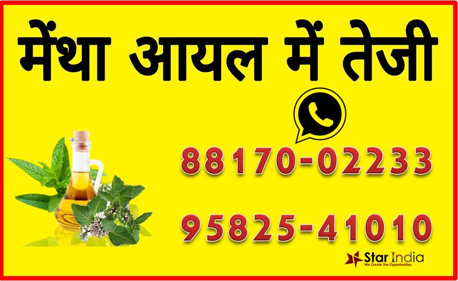 star_sapna's tweet photo. मेंथा ऑयल में तेजी, इस भाव पर खरीदारी की सलाह
https://t.co/bZmc2O62wv https://t.co/mvyoIvTPNC