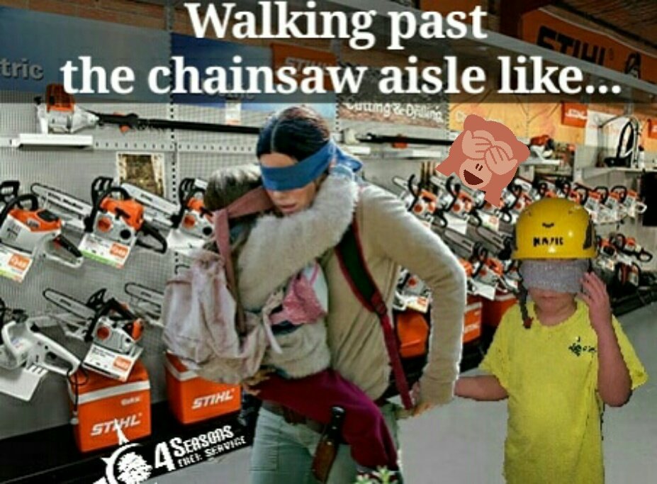 4seasonstreeser's tweet photo. Walking past the chainsaw aisle like... #BirdBoxNetflix #stihl #kask #4sts  #birdboxmeme #treelife #stihlchainsaw #birdbox  #chainsaw #funnymemes https://t.co/5UF9g28JAn