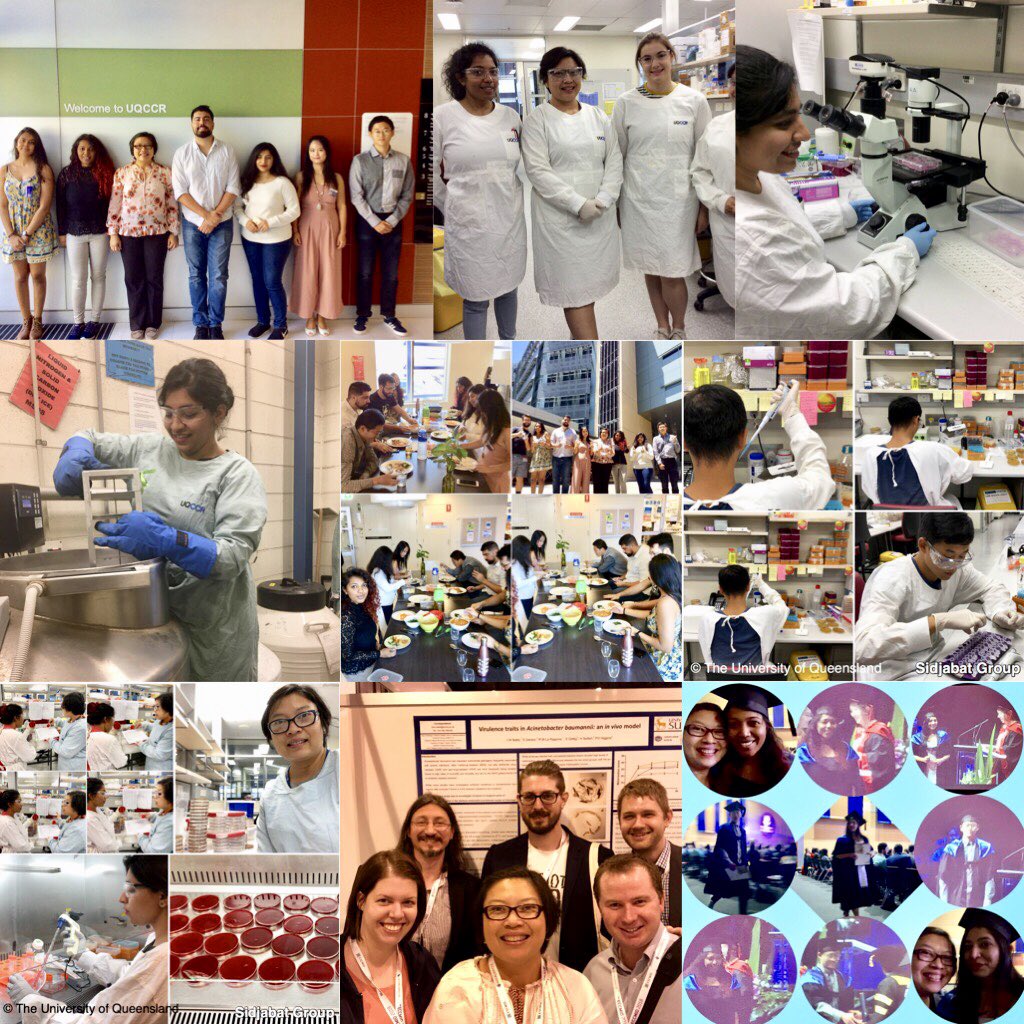 DrHannaSidjabat's tweet photo. Happy New Year! Compilation of some photos in 2018. #research #microbiology #microbiome #microbiota #molecularmicrobiology #supervision #publications #conferences #ECCMID2018 #HDS18 #TRX18 #Ausbio18 #probiotic #pathogens #genome #proteome Have a great 2019! https://t.co/kFJh9OAIp6