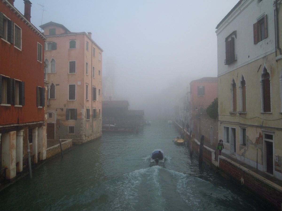 IveserVenezia's tweet photo. buona giornata https://t.co/OvB7J6gZAX