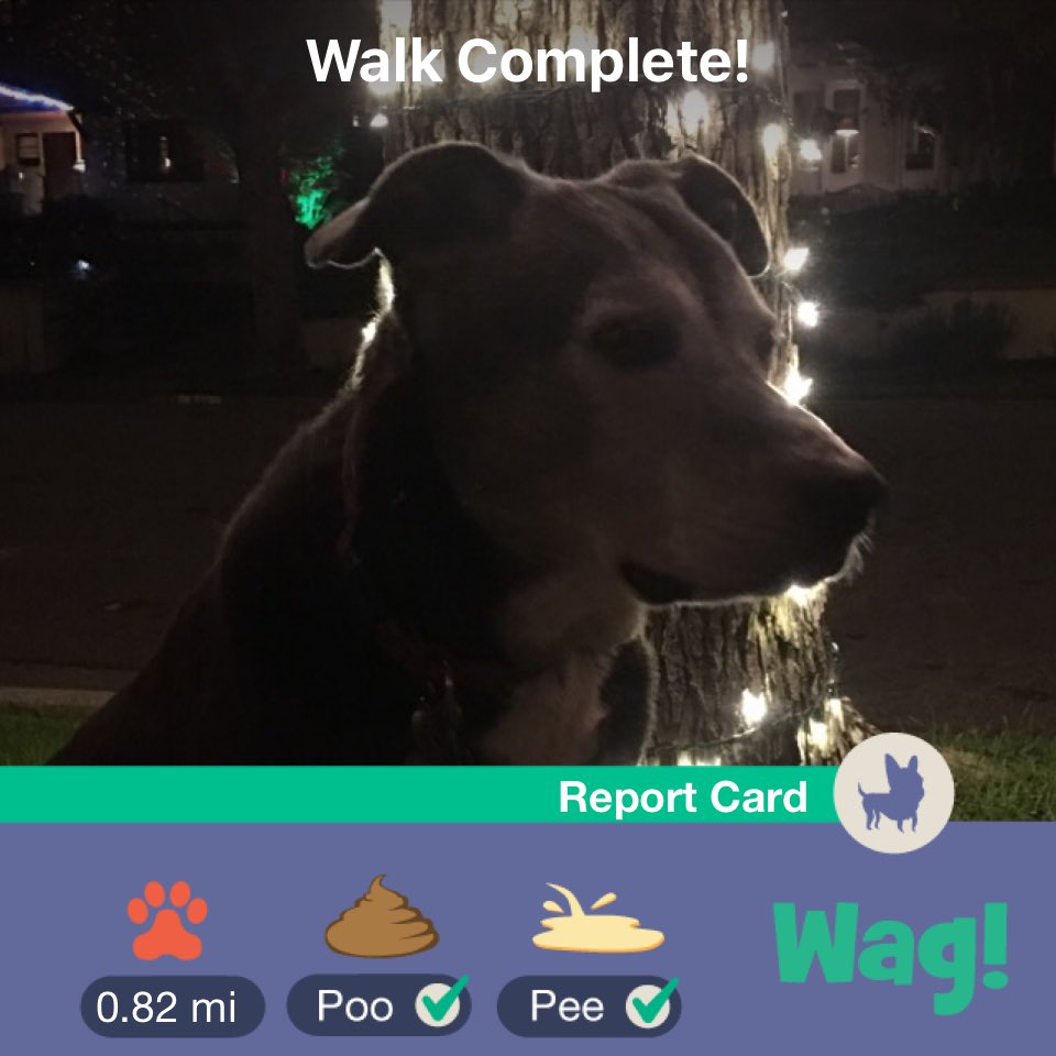 VastData's tweet image. Just finished a dog walk on Wag! Use my link wagwalking.app.link/2nLHq3nD5S for $50 of FREE Wag credit!