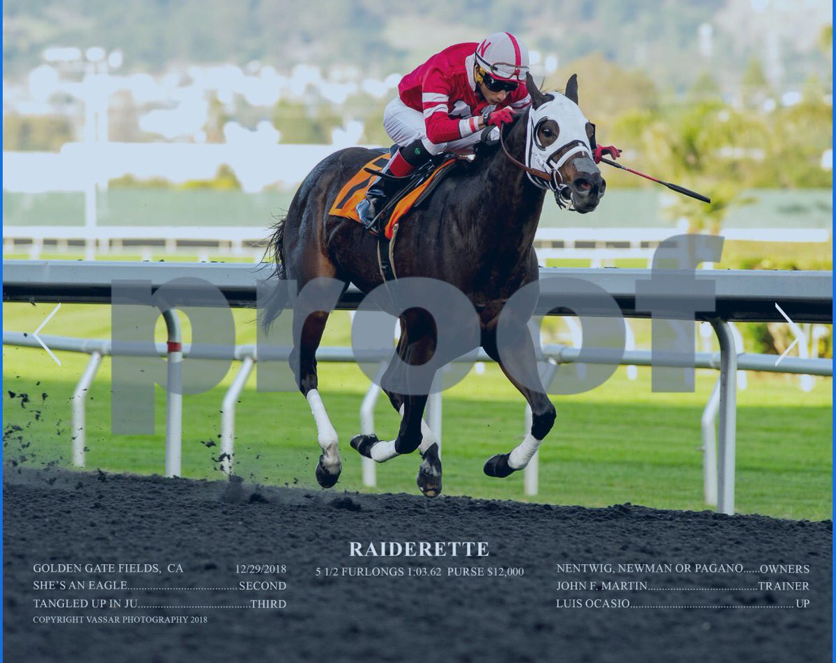 JFMIV's tweet photo. #GGFracing #Raiderette @mikeyfisheyes @3Newman #DropnPop https://t.co/7roIXAvGhP