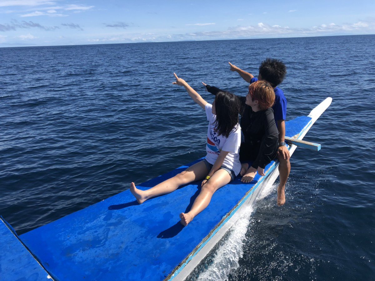 Allblue セブ島のダイビングショップ オールブルー All Blue Cebu Twitter