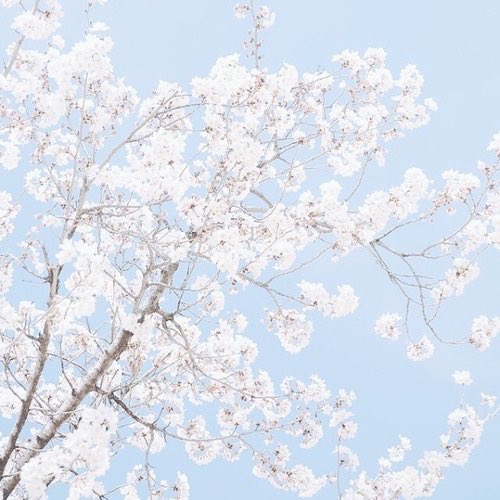 rosefoolsx's tweet photo. rt ตามทักครับค่ะ เค้าริด้าเมจโรเซ่ เมดอิน1997 เพิ่งนิวแอคมาไม่นานมานี้เลยอยากจะมาชิทแชทกับทุกคนเลยนะคะ มาคุยกับริด้ากันเยอะๆนะคะ เค้าทักทุกคนแน่นอนค่ะ 🖖🏻💙 https://t.co/rRxAFeODWg