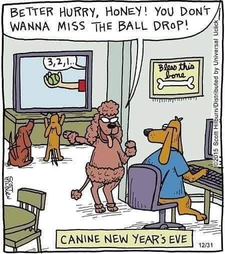 kNine2Five's tweet photo. Knine2five will be closed on New year's Eve and New year's Day, we will see everybody back bright and early, 7 a.m. on Wednesday morning! Wishing everybody a safe and happy New year!!!! https://t.co/18MSL6J1pR https://t.co/kfx1HVIYNd