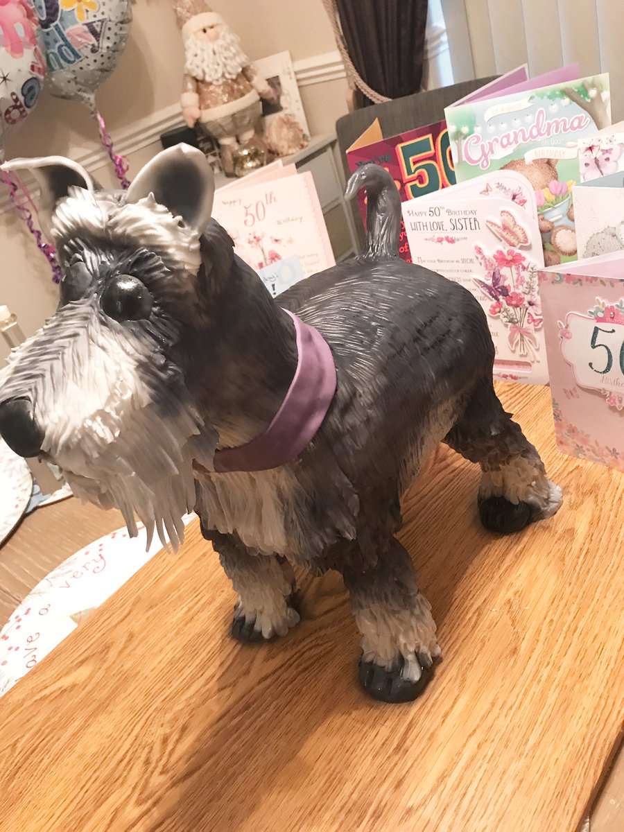 SinfullyD's tweet image. My latest cake. And what a cake it was! A #miniatureschnauzer made for my sisters 50th birthday. 100% edible #allcake #birthdaycake #dogcake #Wirral #wirralbusiness #wirralcakemaker