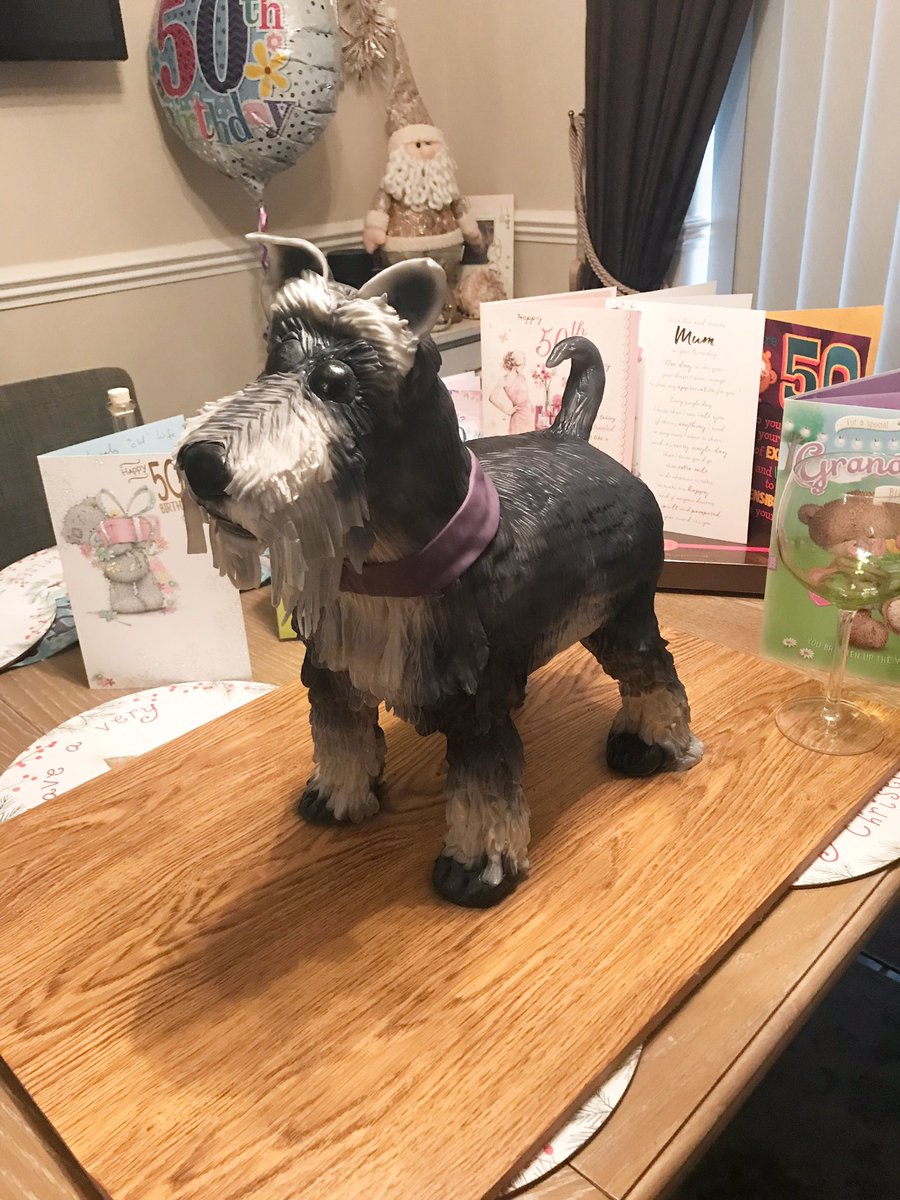 SinfullyD's tweet image. My latest cake. And what a cake it was! A #miniatureschnauzer made for my sisters 50th birthday. 100% edible #allcake #birthdaycake #dogcake #Wirral #wirralbusiness #wirralcakemaker